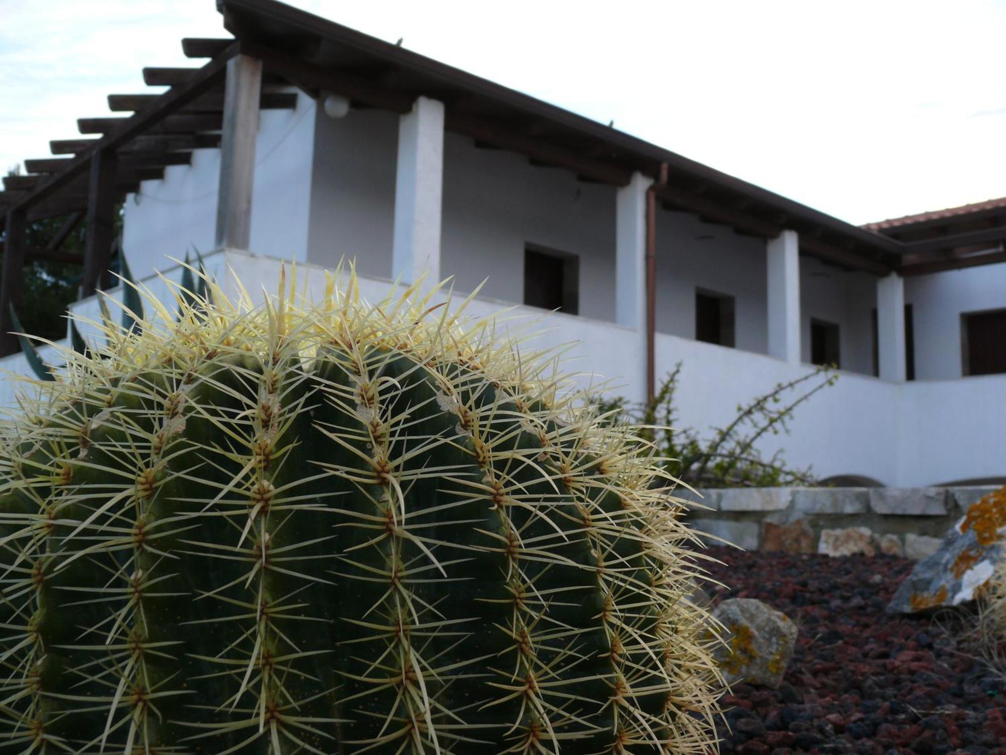 Agave Alghero Fertilia Exterior foto